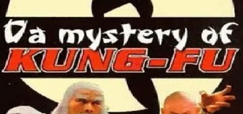 Wu Tang Clan- Da Mystery of Kung Fu