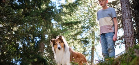 Lassie - Una nuova avventura