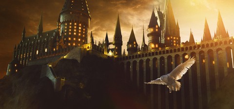Harry Potter Untitled Series