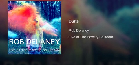 Rob Delaney: Live at the Bowery Ballroom