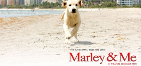 Marley & Ich 2 - Der frechste Welpe der Welt