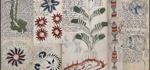 Das Voynich-Manuskript - Die geheimnisvollste Handschrift der Welt