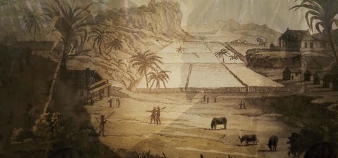 Ebony: The Last Years Of The Atlantic Slave Trade