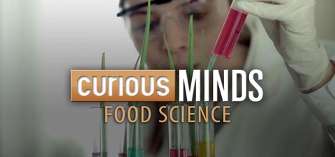 Curious Minds: Food Science