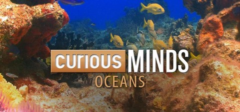 Curious Minds: Oceans