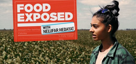 Food Exposed with Nelufar Hedayat