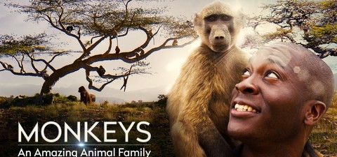 Monkeys: An Amazing Animal Family