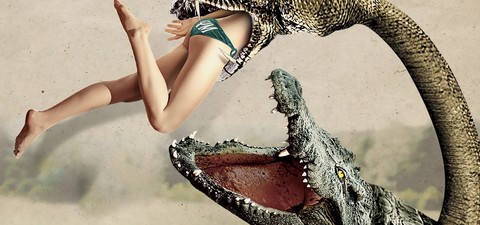 Aligator kontra Anakonda