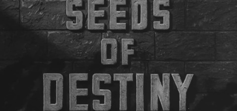 Seeds of Destiny