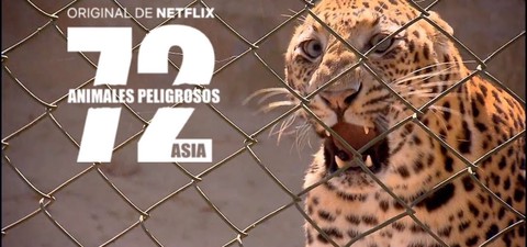 72 animales peligrosos Asia