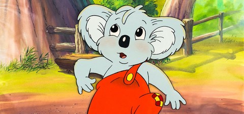 Blinky Bill's Extraordinary Excursion