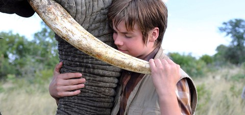 Il ragazzo e il grande elefante