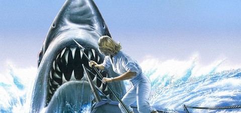 Der weiße Hai IV - Die Abrechnung