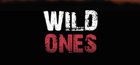Wild Ones - Junge Helden