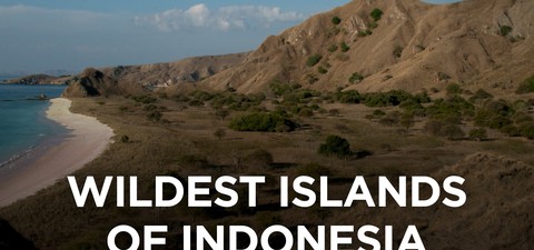 Wildest Islands of Indonesia