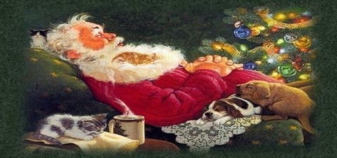 Santa's Christmas Snooze