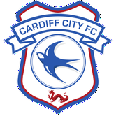 Cardiff City fc