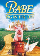 Babe - en gris kommer till stan