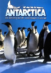 Die Antarktis: Am eisigen Ende der Welt