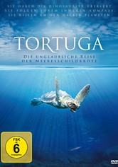 Tortuga - Die unglaubliche Reise der Meeresschildkröte