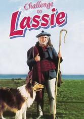 Lassie, vallhunden