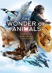 The Wonder of Animals - Tierische Überlebenskünstler