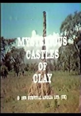 Mysterious Castles of Clay