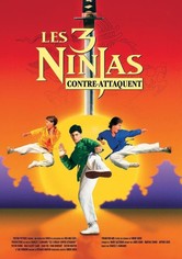 Ninja Kids 2 : Les 3 Ninjas contre-attaquent