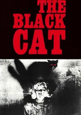 Die schwarze Katze