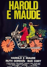 Harold e Maude