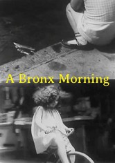 A Bronx Morning
