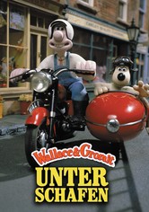 Wallace & Gromit - Unter Schafen