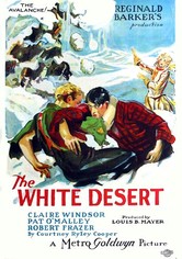 The White Desert