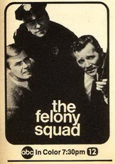 Felony Squad