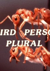 Third Person Plural