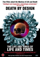 Death by Design: Where Parallel Worlds Meet