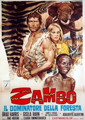 Zambo - djungelns härskare