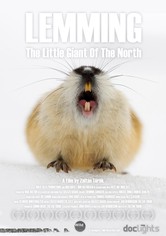 Lemming: The Little Giant of the North