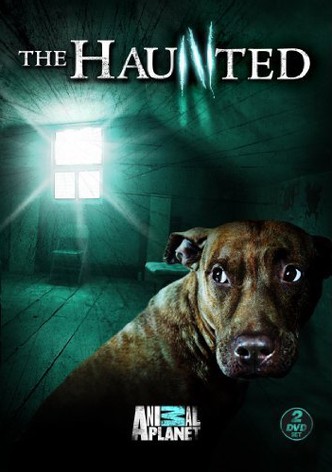 The Haunted - watch tv show streaming online