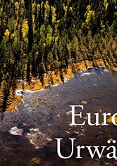 Europas Urwälder