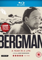 Bergman, une vie en quatre actes