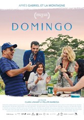 Domingo - Das Familientreffen