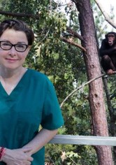 Sue Perkins and the Chimp Sanctuary