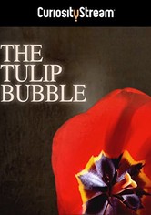The Tulip Bubble