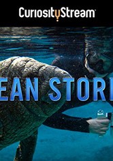Ocean Stories