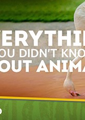Everything You Didn't Know About Animals