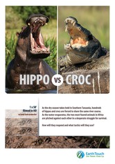 Hroch versus krokodýl