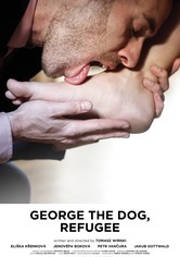 George the Dog, Refugee