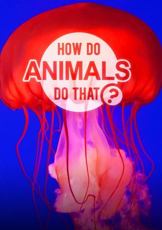 How Do Animals Do That? - streaming online