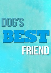 Dog's Best Friend